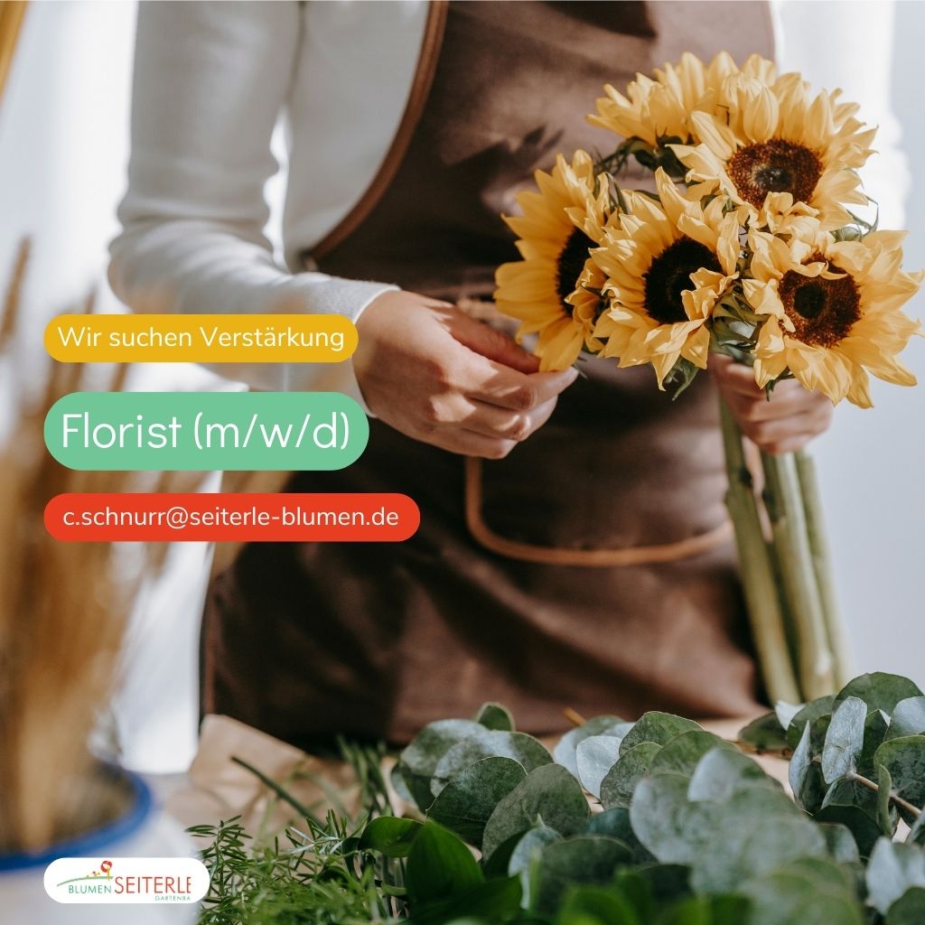 Blumen Und Gartenbau Seiterle Gmbh In Rastatt Blumen und Gartenbau Seiterle - Baden-Baden & Rastatt