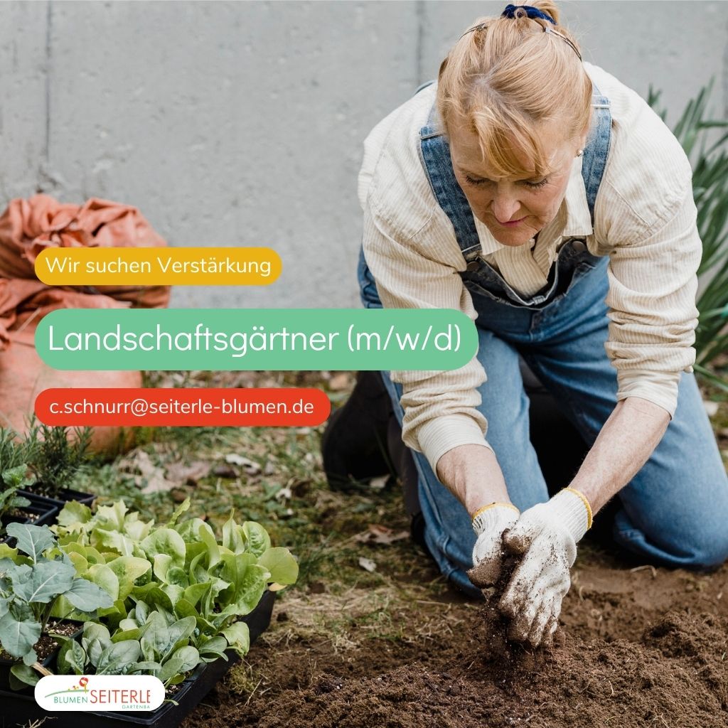 Blumen Und Gartenbau Seiterle Gmbh In Rastatt Blumen und Gartenbau Seiterle - Baden-Baden & Rastatt