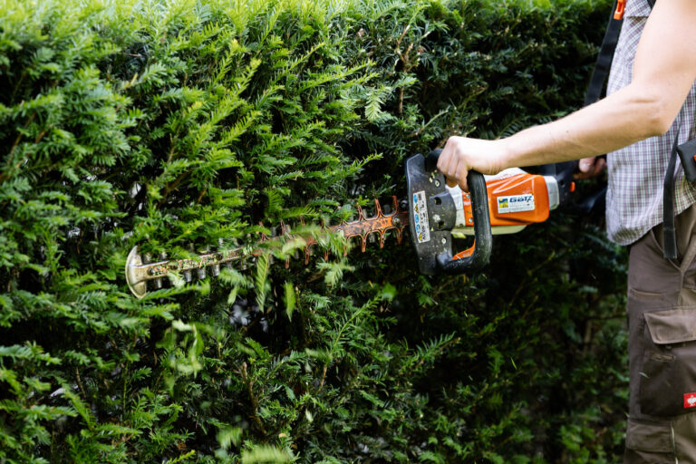 Blumen Und Gartenbau Seiterle Gmbh In Rastatt Blumen und Gartenbau Seiterle - Baden-Baden & Rastatt